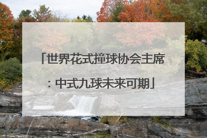 世界花式撞球协会主席：中式九球未来可期