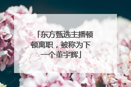 东方甄选主播顿顿离职，被称为下一个董宇辉