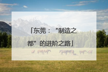 东莞：“制造之都”的进阶之路