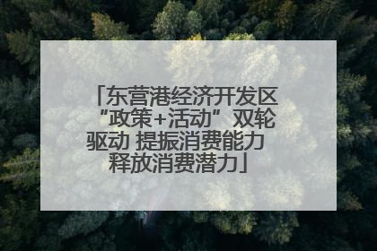 东营港经济开发区“政策+活动”双轮驱动 提振消费能力 释放消费潜力