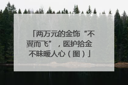 两万元的金饰“不翼而飞”，医护拾金不昧暖人心（图）