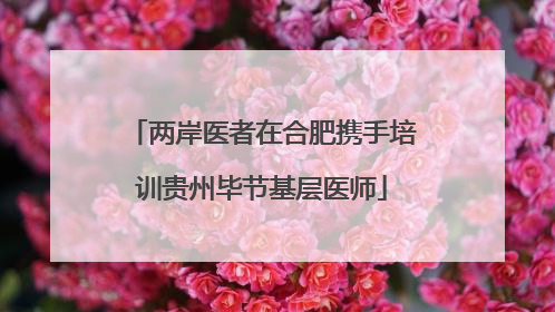 两岸医者在合肥携手培训贵州毕节基层医师
