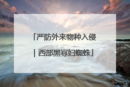 严防外来物种入侵｜西部黑寡妇蜘蛛