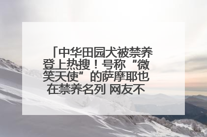 中华田园犬被禁养登上热搜！号称“微笑天使”的萨摩耶也在禁养名列 网友不解西安多部门回应