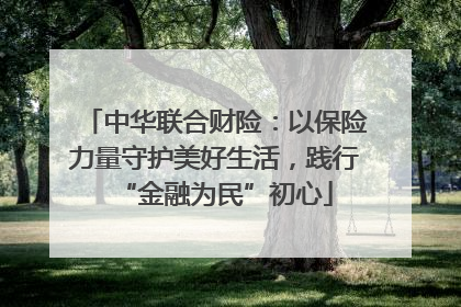 中华联合财险：以保险力量守护美好生活，践行“金融为民”初心