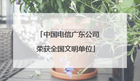 中国电信广东公司荣获全国文明单位