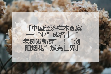 中国经济样本观察·一“业”成名丨“老树发新芽”！“浏阳烟花”燃亮世界