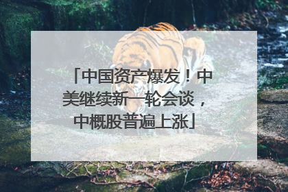 中国资产爆发！中美继续新一轮会谈，中概股普遍上涨
