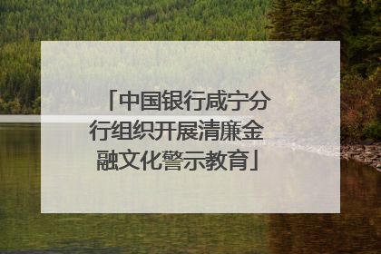 中国银行咸宁分行组织开展清廉金融文化警示教育