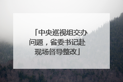 中央巡视组交办问题，省委书记赴现场督导整改
