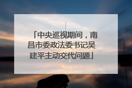 中央巡视期间，南昌市委政法委书记吴建平主动交代问题