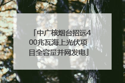中广核烟台招远400兆瓦海上光伏项目全容量并网发电