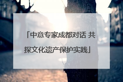中意专家成都对话 共探文化遗产保护实践