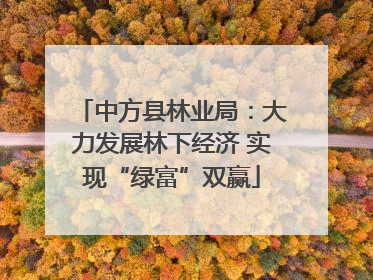 中方县林业局：大力发展林下经济 实现“绿富”双赢