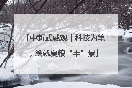 中新武威观｜科技为笔，绘就夏粮“丰”景