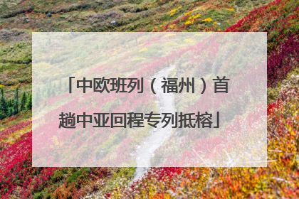 中欧班列（福州）首趟中亚回程专列抵榕