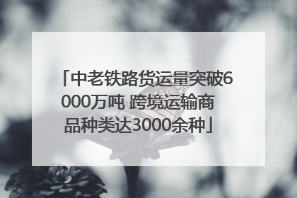 中老铁路货运量突破6000万吨 跨境运输商品种类达3000余种