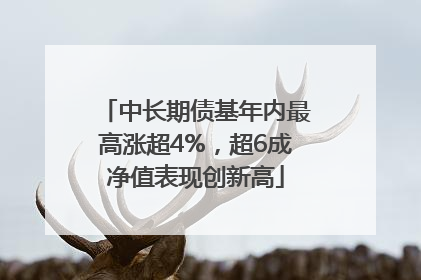 中长期债基年内最高涨超4%，超6成净值表现创新高