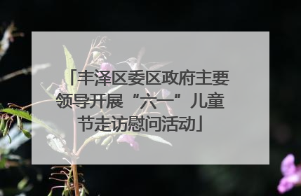 丰泽区委区政府主要领导开展“六一”儿童节走访慰问活动