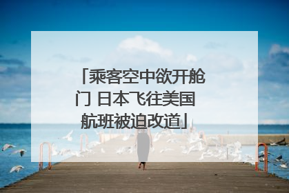 乘客空中欲开舱门 日本飞往美国航班被迫改道