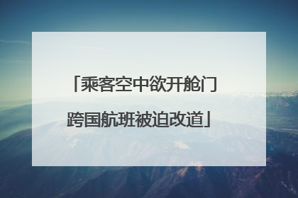 乘客空中欲开舱门 跨国航班被迫改道