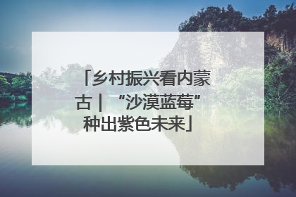 乡村振兴看内蒙古｜“沙漠蓝莓”种出紫色未来
