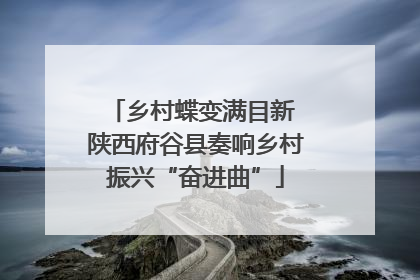 乡村蝶变满目新 陕西府谷县奏响乡村振兴“奋进曲”