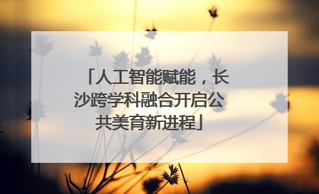 人工智能赋能，长沙跨学科融合开启公共美育新进程