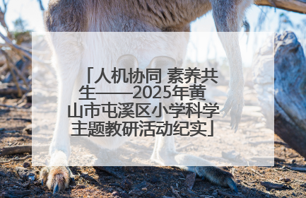 人机协同 素养共生——2025年黄山市屯溪区小学科学主题教研活动纪实