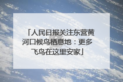 人民日报关注东营黄河口候鸟栖息地：更多飞鸟在这里安家