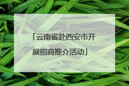 云南省赴西安市开展招商推介活动