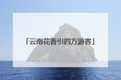 云南花香引四方游客
