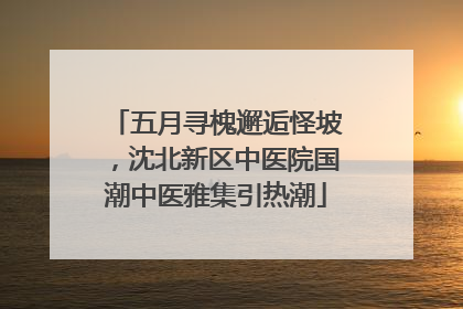 五月寻槐邂逅怪坡，沈北新区中医院国潮中医雅集引热潮