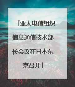 亚太电信组织信息通信技术部长会议在日本东京召开