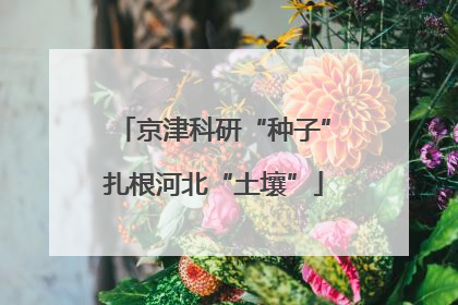 京津科研“种子”扎根河北“土壤”