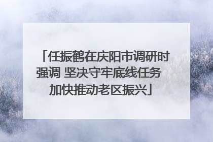任振鹤在庆阳市调研时强调 坚决守牢底线任务 加快推动老区振兴