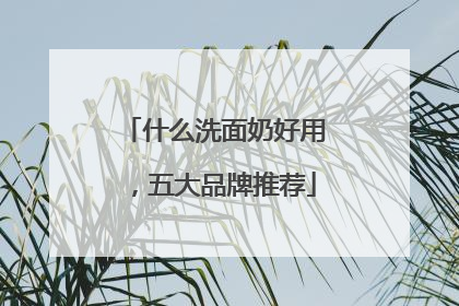 什么洗面奶好用，五大品牌推荐