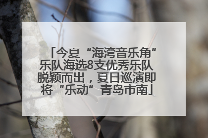 今夏“海湾音乐角”乐队海选8支优秀乐队脱颖而出，夏日巡演即将“乐动”青岛市南