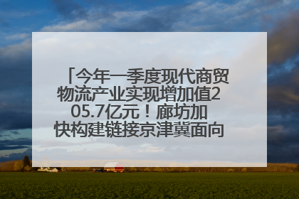 今年一季度现代商贸物流产业实现增加值205.7亿元！廊坊加快构建链接京津冀面向全世界的物流通道