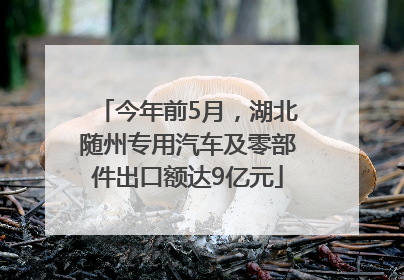 今年前5月，湖北随州专用汽车及零部件出口额达9亿元
