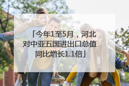 今年1至5月，河北对中亚五国进出口总值同比增长1.1倍