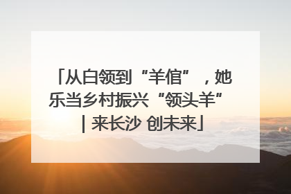 从白领到“羊倌”，她乐当乡村振兴“领头羊”｜来长沙 创未来
