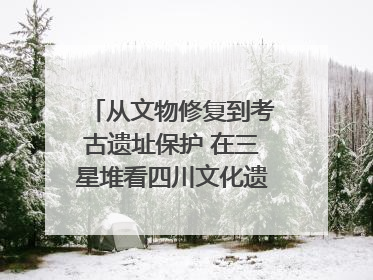 从文物修复到考古遗址保护 在三星堆看四川文化遗产焕发新光彩｜您牵挂的四川
