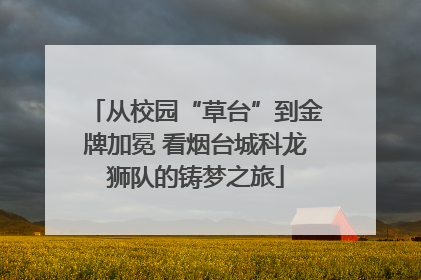 从校园“草台”到金牌加冕 看烟台城科龙狮队的铸梦之旅