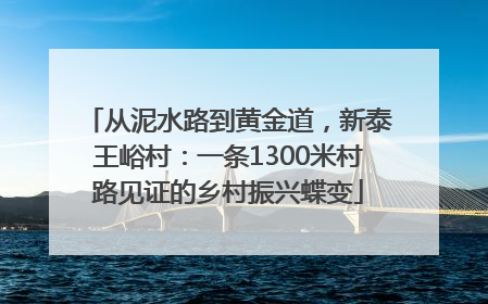 从泥水路到黄金道，新泰王峪村：一条1300米村路见证的乡村振兴蝶变