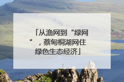 从渔网到“绿网”，蔡甸桐湖网住绿色生态经济