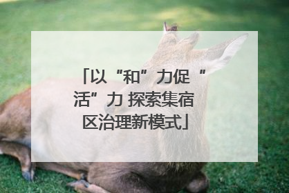 以“和”力促“活”力 探索集宿区治理新模式