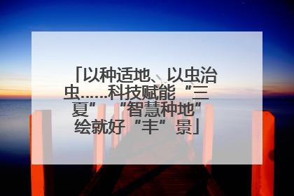 以种适地、以虫治虫……科技赋能“三夏” “智慧种地”绘就好“丰”景