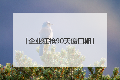 企业狂抢90天窗口期