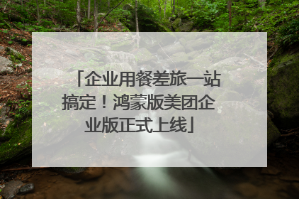 企业用餐差旅一站搞定！鸿蒙版美团企业版正式上线